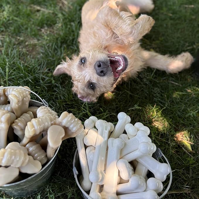 Nylabone Original Bone Power Chew Toy - Image 6