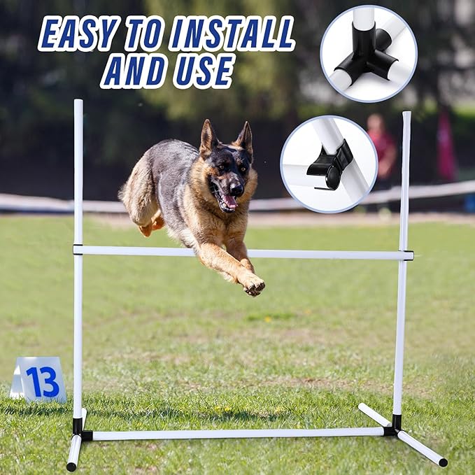 Shappy 4 Pieces Dog Agility Equipment - Image 3