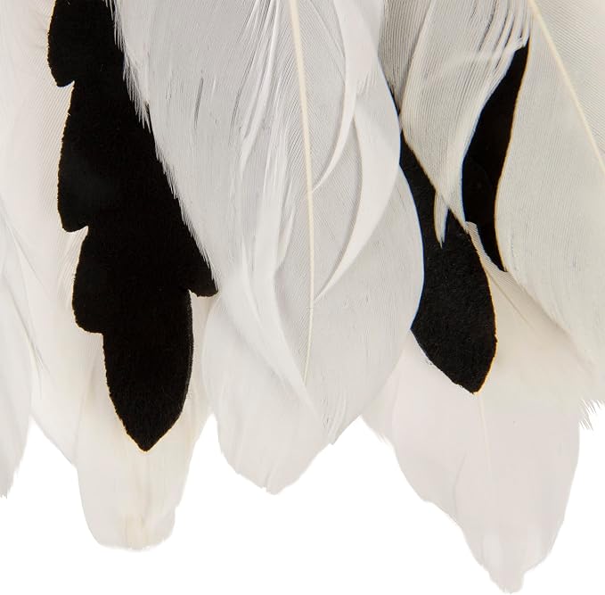 Instincts by SmartyKat HappyNip Zingy Zebra Feathered Toss & Chase Interactive - Image 6