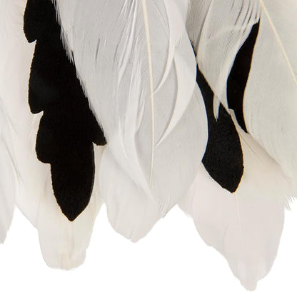 Instincts by SmartyKat HappyNip Zingy Zebra Feathered Toss & Chase Interactive - Image 6