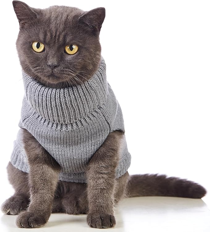 Stretchy Cat Sweater - Image 3