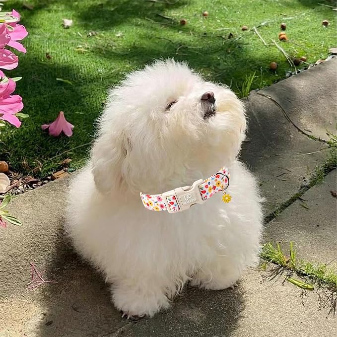 Floral Dog Collar, UP URARA PUP Colorful Floral Adjustable Pet Collar - Image 5