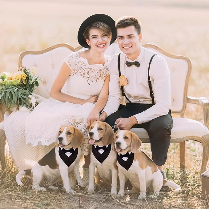 ADOGGYGO Formal Dog Tuxedo, Wedding Dog Collar - Image 2