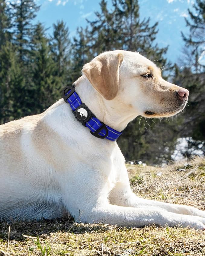 Joytale Airtag Dog Collar, Reflective Pet Collar - Image 8