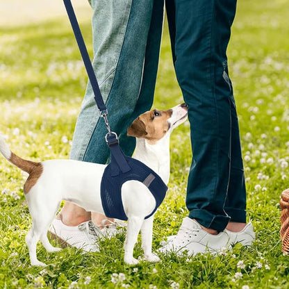 PUPTECK Adjustable Dog Harness Collar and Leash Set Step in No Pull Pet Harness - Image 7