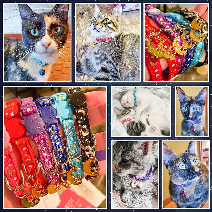 KOOLTAIL Cat Collar Breakaway - Image 7