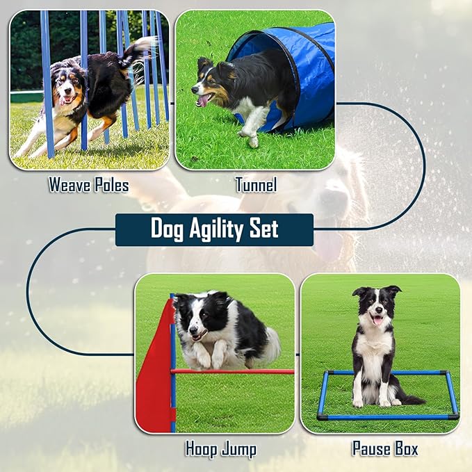 Dog Agility Course Backyard Set, Dog Agility Equipment, Portable Agility - Image 2