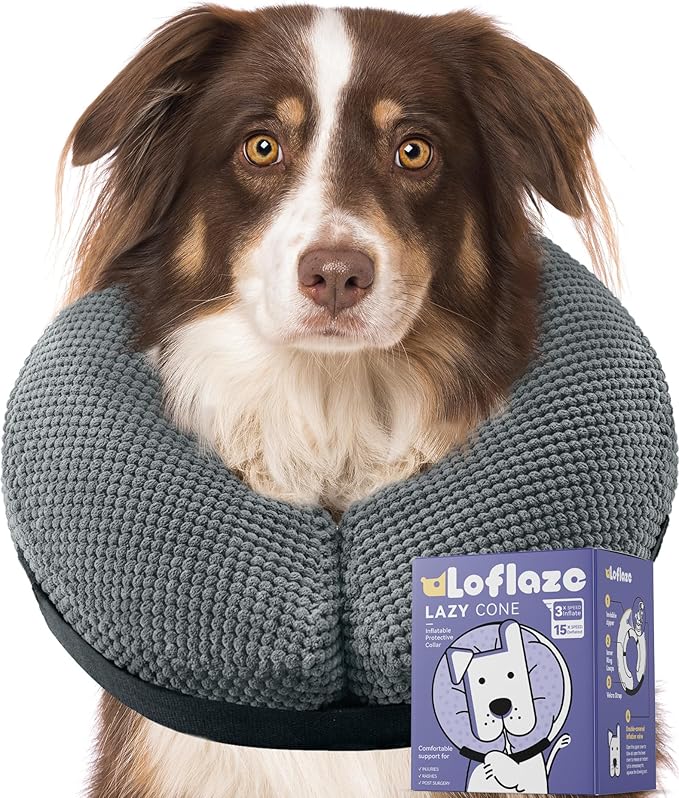 Soft Inflatable Dog Cone Collar Alternative After Surgery by Loflaze