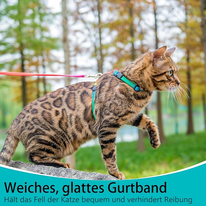 PUPTECK Adjustable Cat Harness and Leash Set Escape Proof Kitten Strap Collar - Image 7