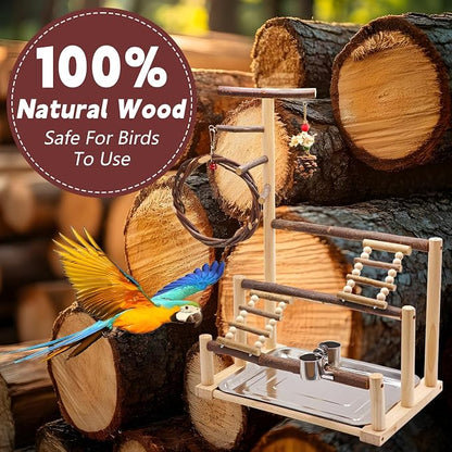 ‌Bird Playground, Natural Wooden Parrot Stand - Image 7