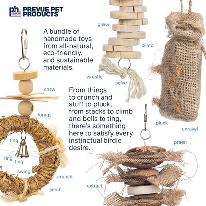 Prevue Pet Products Wholesome Naturals 4 Piece Bird Toy Bundle - Image 6