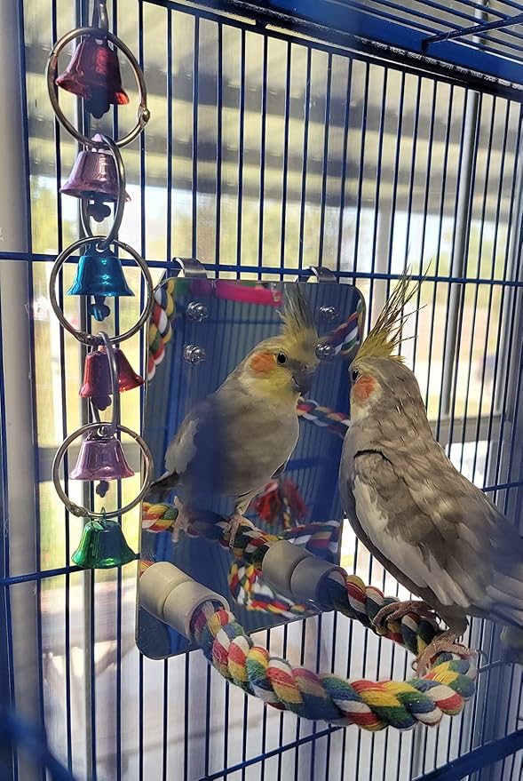 10.6" Bird Mirror with Rope Perch Bird Toys Swing, Comfy Perch - Image 6