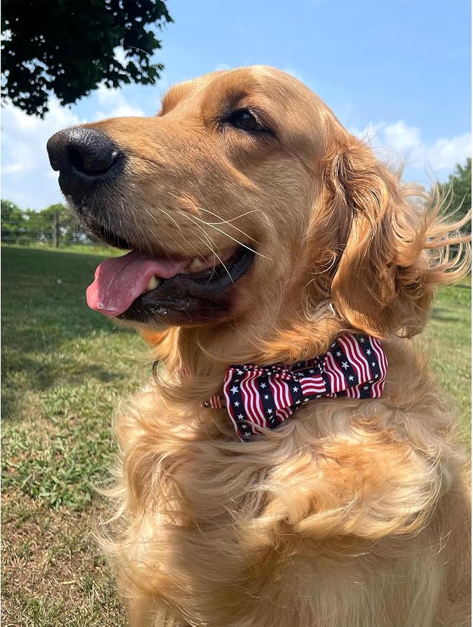 Lionheart glory American Flag Dog Collar, 4 of July Dog Bow Collar Heavy Duty - Image 2