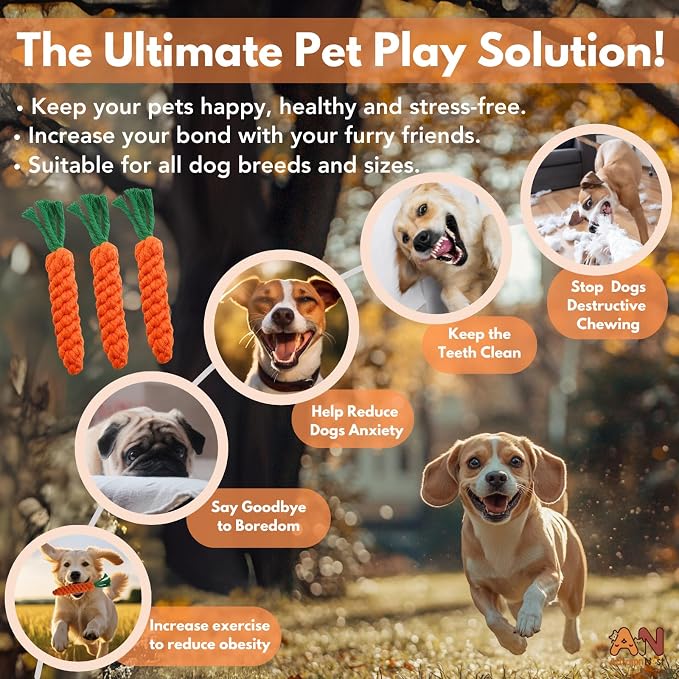 3PCS Orange Woven Pet Chew Set, Puppy Teething Chews, Dog Chew Treats, Cat - Image 3