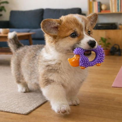 Outward Hound Pupstages Cutie Chewies Hedgehog Dental Dog Chew Toy — - Image 5
