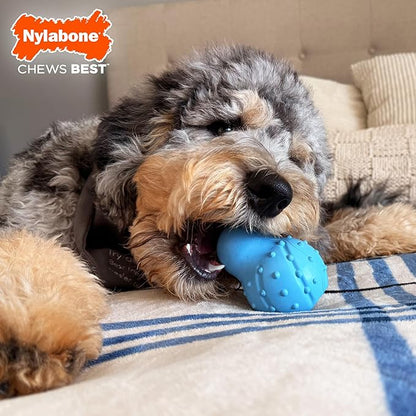 Nylabone Treatin' Cone Strong Stuffable Chew Toy - Image 3