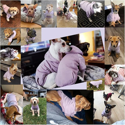 Jecikelon Winter Dog Hoodie Sweatshirts - Image 4
