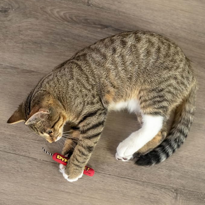 Catstages Green Magic Dynamite Stick Catnip Cat Toy - Image 8