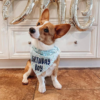 Birthday Boy Dog Bandanas 1 Pack, HBD Pet Scarves - Image 9