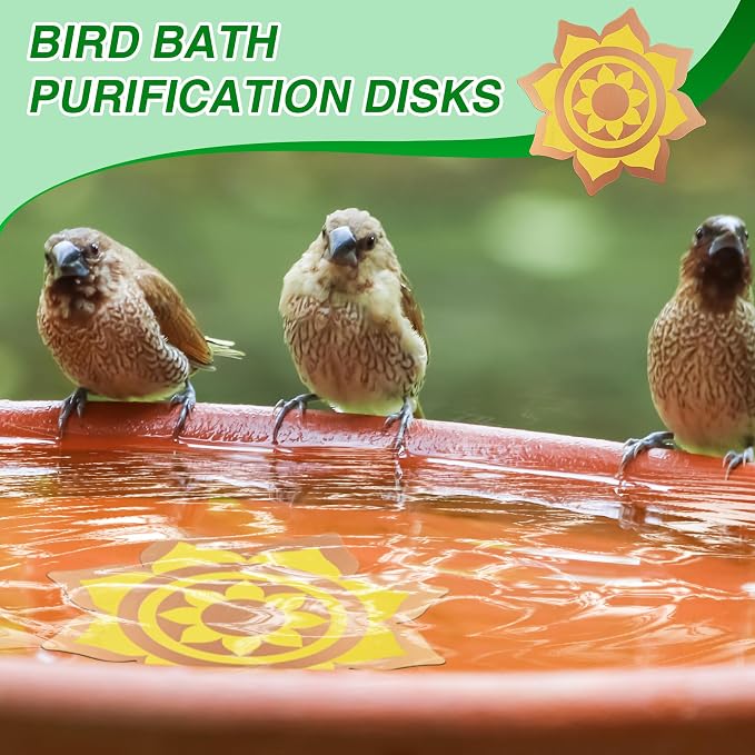 Saillong 1 Pack Bird Bath Copper Disk, Reinforced 99.99% Pure Copper Bird Bath - Image 7