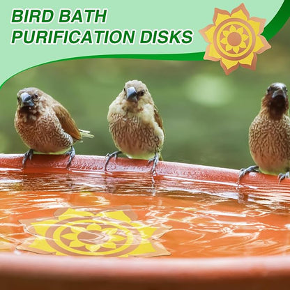 Saillong 2 Pack Bird Bath Copper Disk, Reinforced 99.99% Pure Copper Bird Bath - Image 7