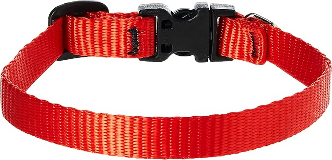 LupinePet Basics 1/2" Red 8-12" Adjustable Collar - Image 2