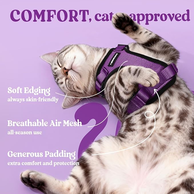 rabbitgoo Cat Harness and Leash - Image 4