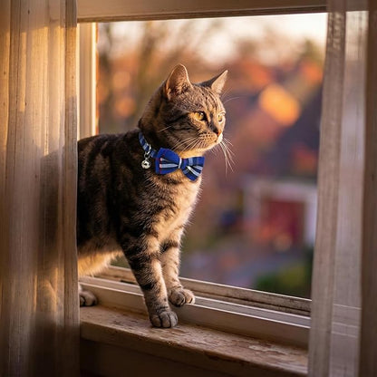 THAIN Cat Collar Breakaway - Image 6