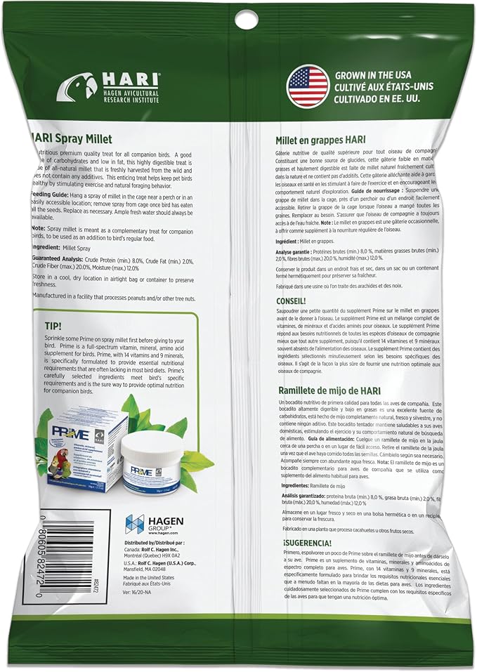 Living World – Millet Spray for Birds, 7 Oz – Premium Treat for Budgies - Image 3
