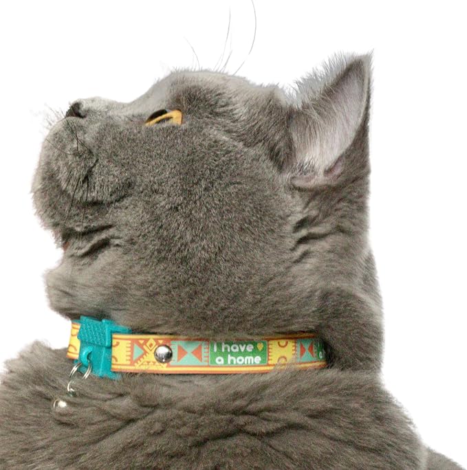 New Kittyrama -I Have A Home- Cat Collar - Image 3