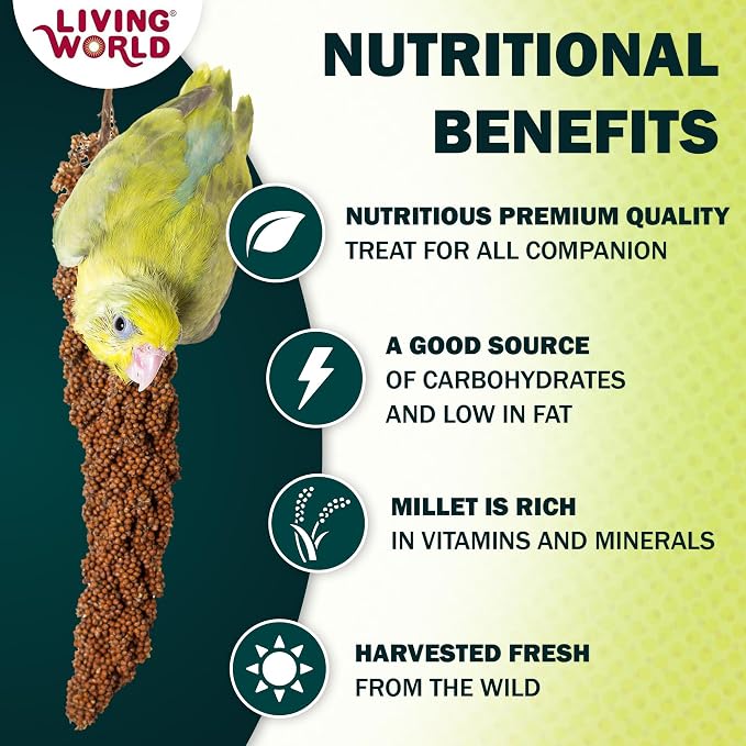 Living World – Millet Spray for Birds, 7 Oz – Premium Treat for Budgies - Image 4