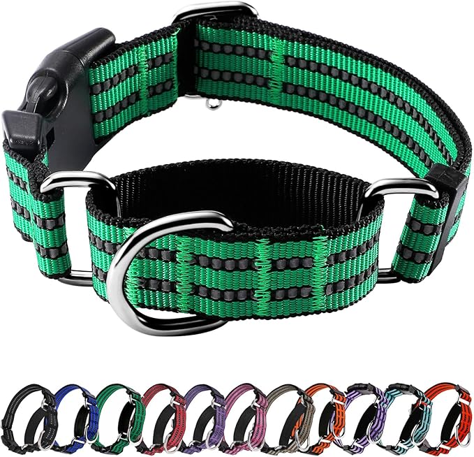 Hikiko Martingale Dog Collars Reflective Nylon Dog Collar by Hikiko