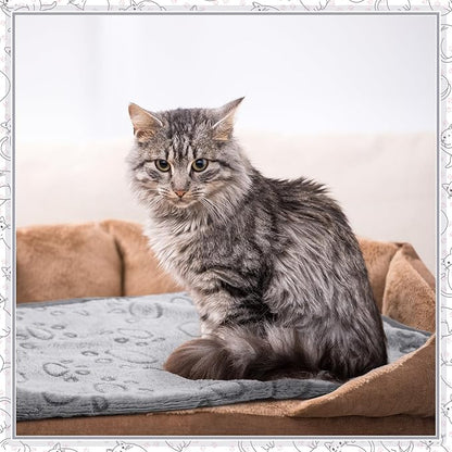 Tegeme 12 Pcs Pet Blankets Soft Fluffy Fleece Dog Cat Warm Paw Print Pattern - Image 6