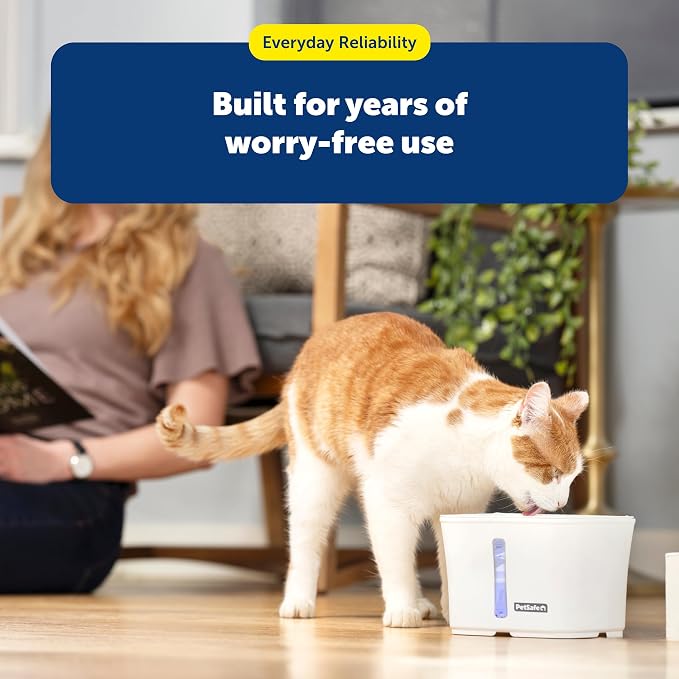 PetSafe Viva Pet Fountain - Image 7