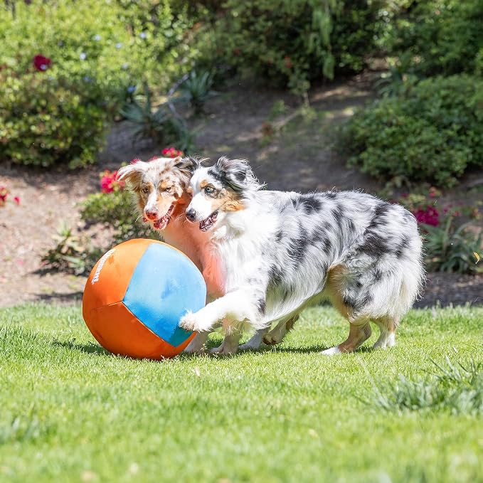 Chuckit! Big Air Fetch Ball Dog Toy Herding Instincts Dog Toy, - Image 7