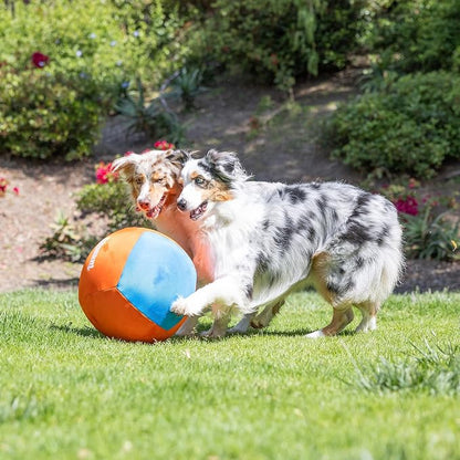 Chuckit! Big Air Fetch Ball Dog Toy Herding Instincts Dog Toy, - Image 7