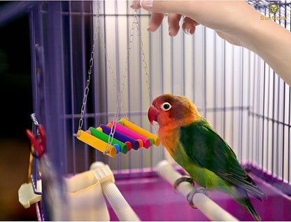 SunGrow Parrot Bird Swing Wooden Perch, Hanging Cage Accessory, Metal Chain - Image 4