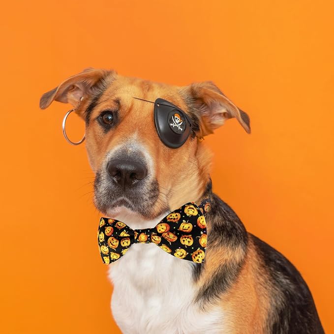 Halloween Dog Bow Tie Collar, Holiday Skull Pumpkin Collar - Image 5