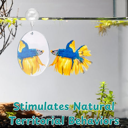 2 pcs Betta Ring Enrichment Toys - Image 4