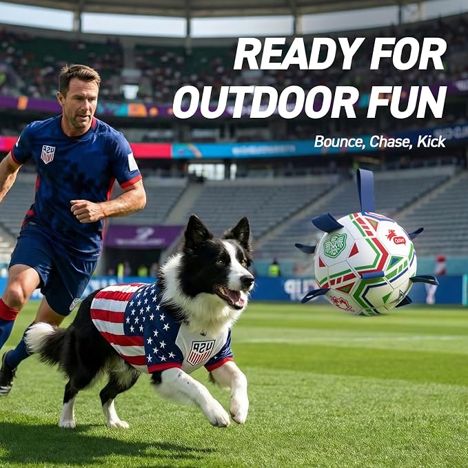 QDAN World Cup Soccer Ball for Dog, 8 Inch Dog Balls - Image 2
