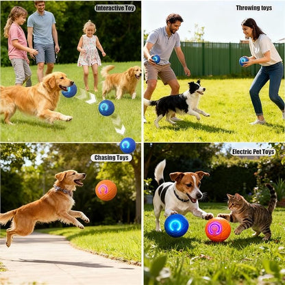 Valentines Day Gifts Dog Balls Interactive Dog Toys 2pc Shaky Ball Toy - Image 6