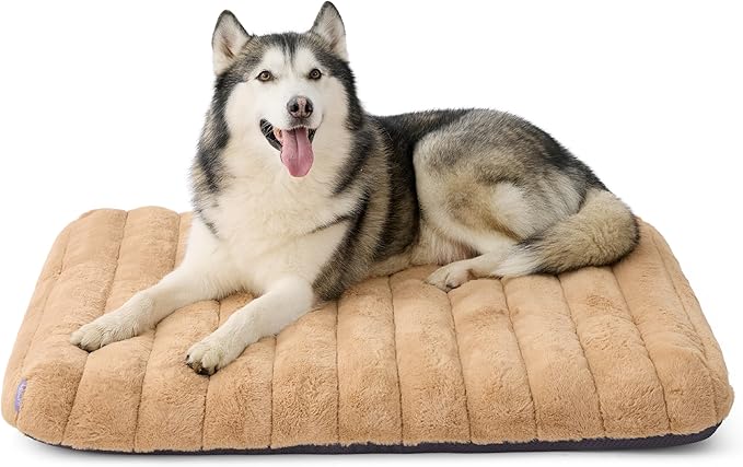 LE SURE Cute Orthopedic Dog Bed by Lesure