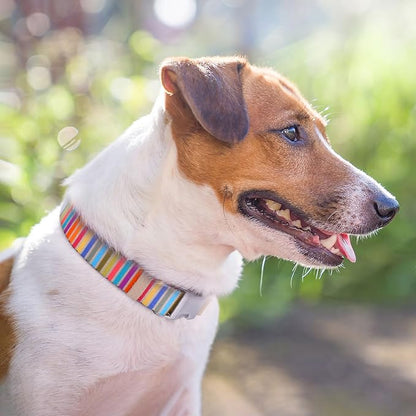 AirTag Dog Collar for Small Medium Large Breed - Image 7