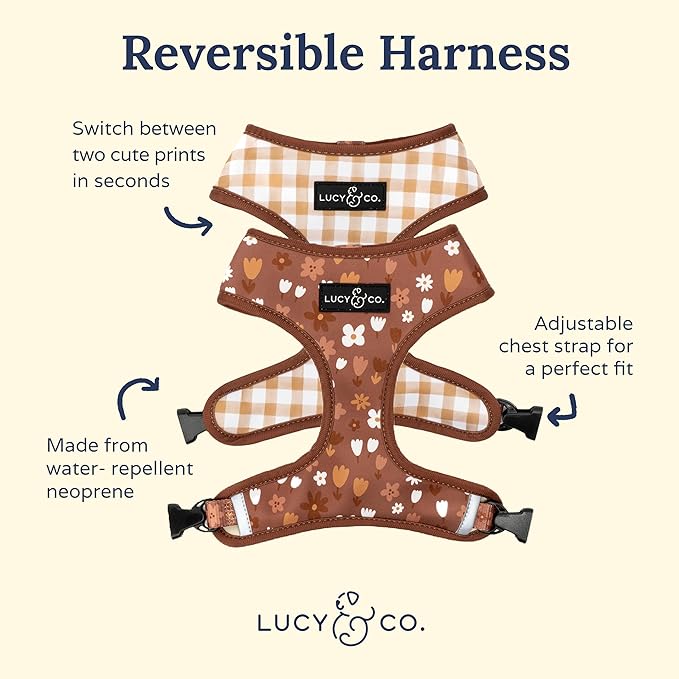 Lucy & Co. Cute Reversible Dog Harness Walking Halter - Image 2