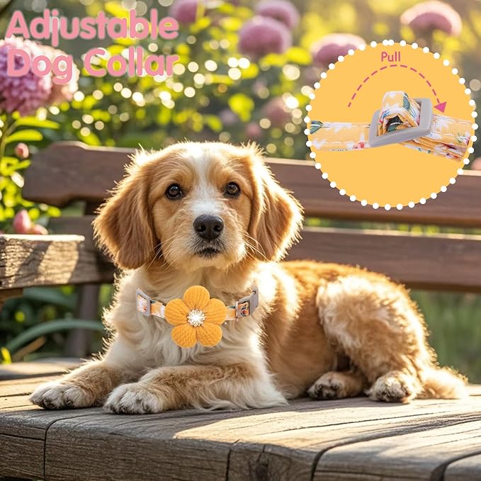 Medium Dog Collar with Flower, Dog Collars - Image 5