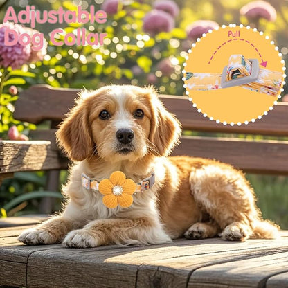 Medium Dog Collar with Flower, Dog Collars - Image 5