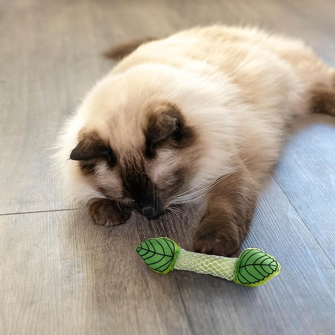 Catstages Fresh Breath Mint Stick Dental Cat Chew Toy - Image 8