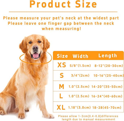 Puppy Collar for Small, Large Dogs - Image 3