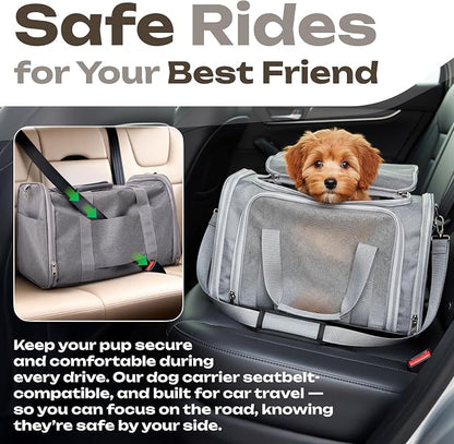 Pet Carrier for Cats, Guinea Pigs – Airline Approved Soft-Sided Travel Bag - Image 7