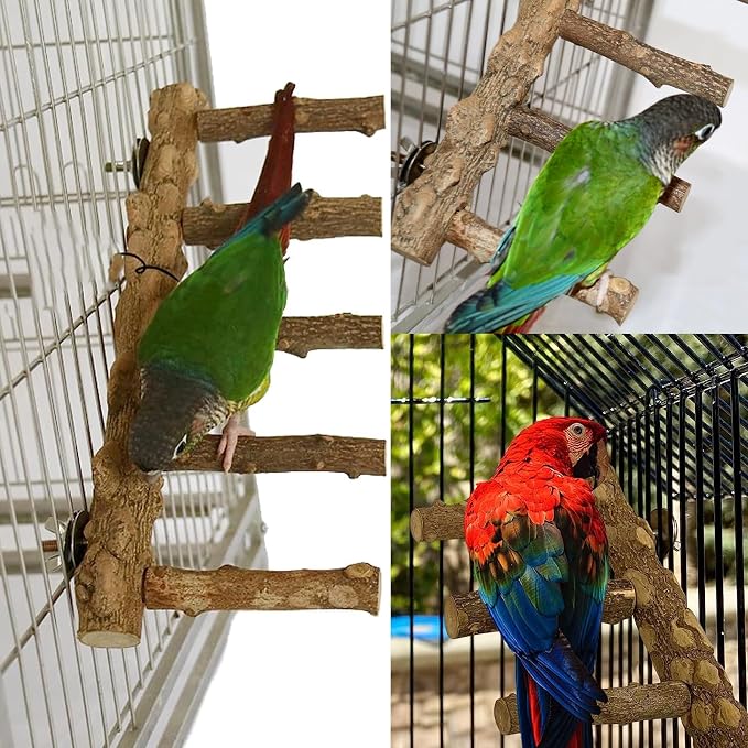 Bird Ladder Perch for Cage, Nature Wooden Bird Bridge Exercise Stands Parrot - Image 5